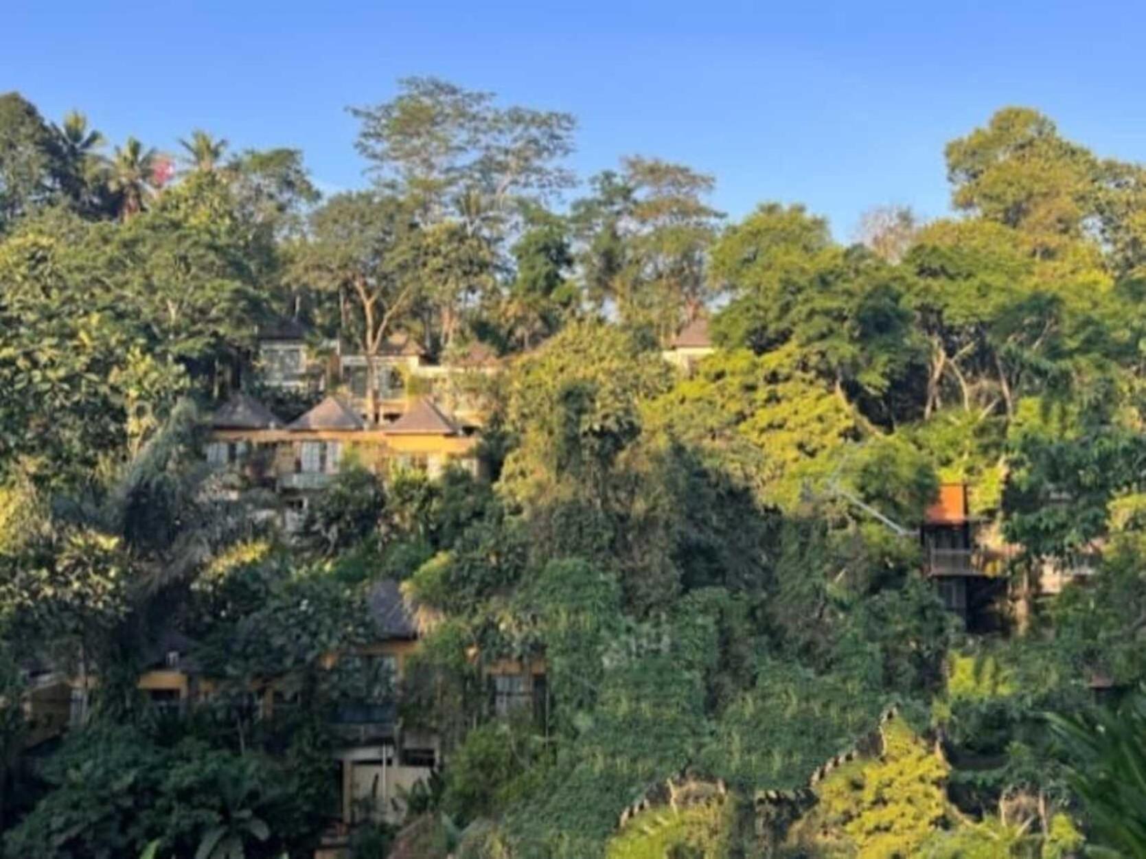 Pondok Kungkang Villa 2 Ubud Buitenkant foto