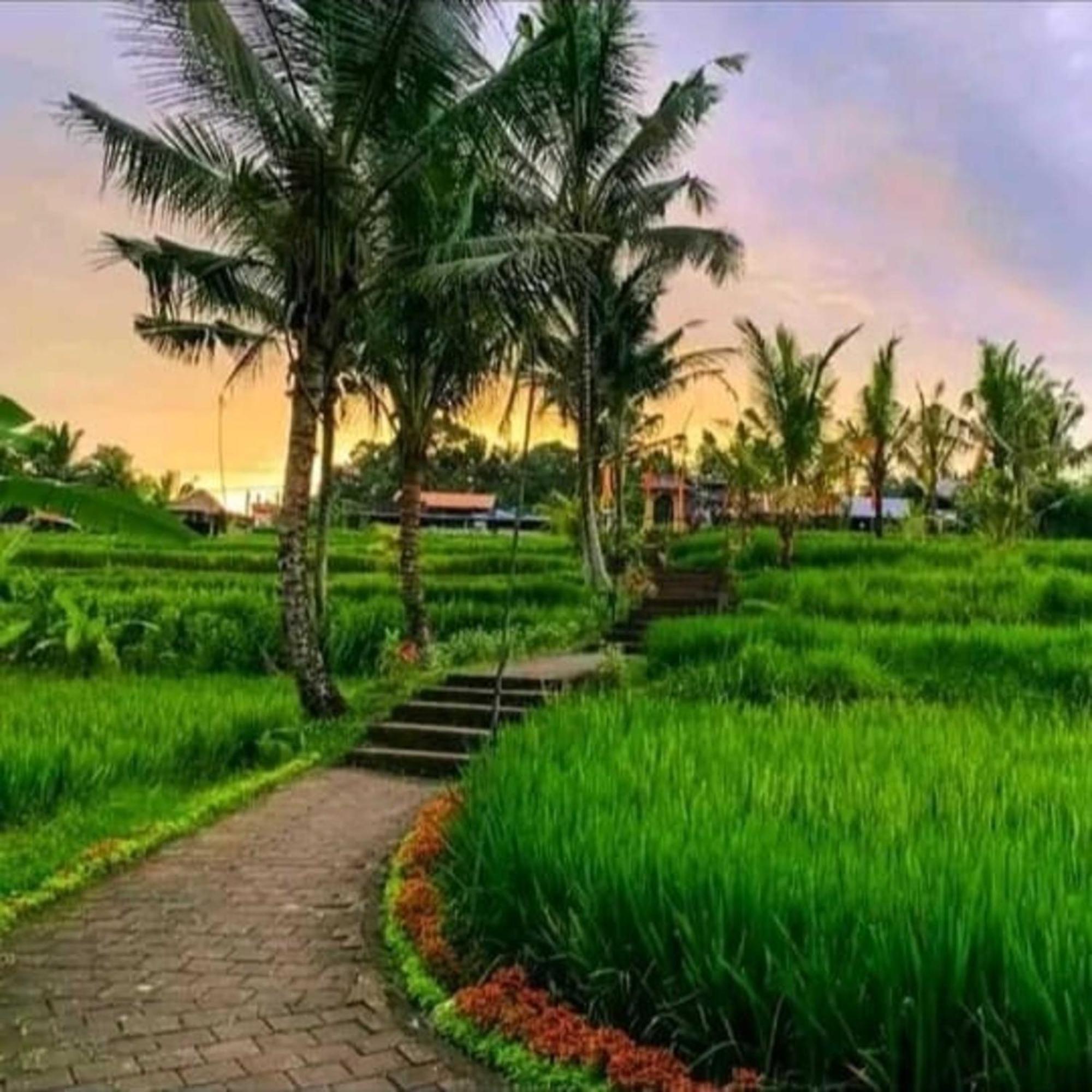 Pondok Kungkang Villa 2 Ubud Buitenkant foto